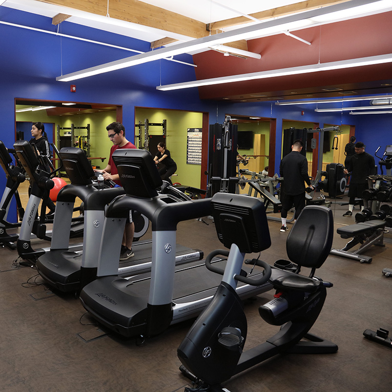 Working Out In Gym