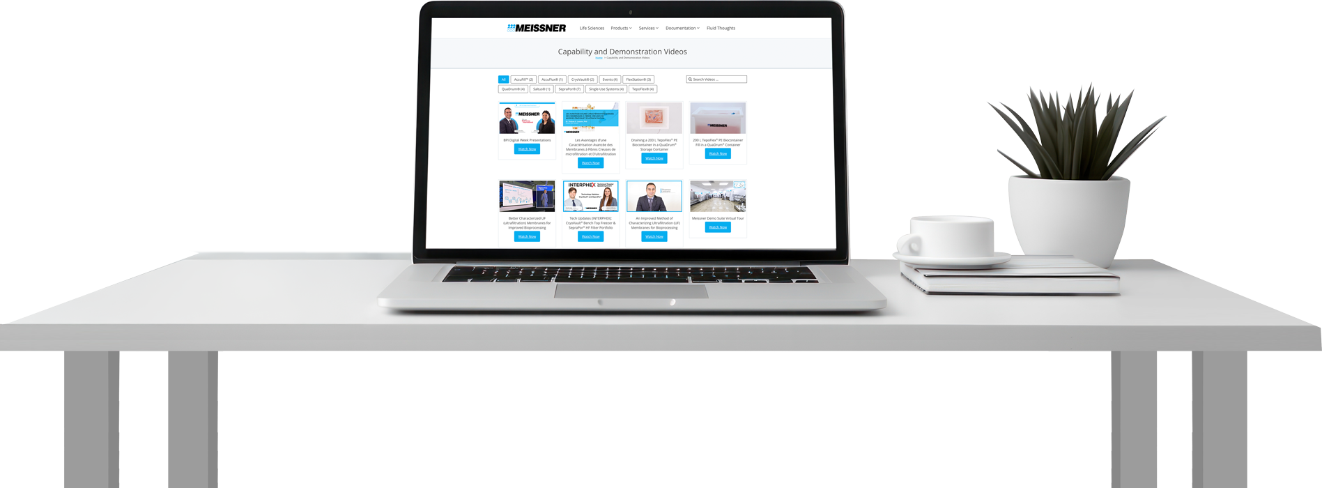 Laptop displaying website, desk with plant and cup.